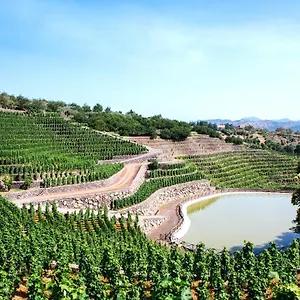 Farm stay La Gelsomina - Etna, Presa